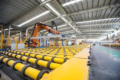 國家級 省級 這些秀洲企業值得點贊